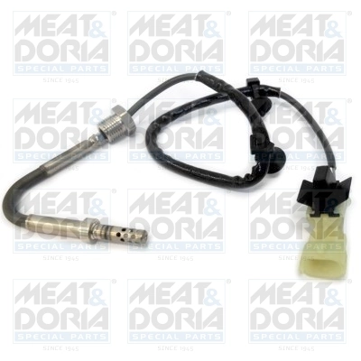 Sensor, exhaust gas temperature